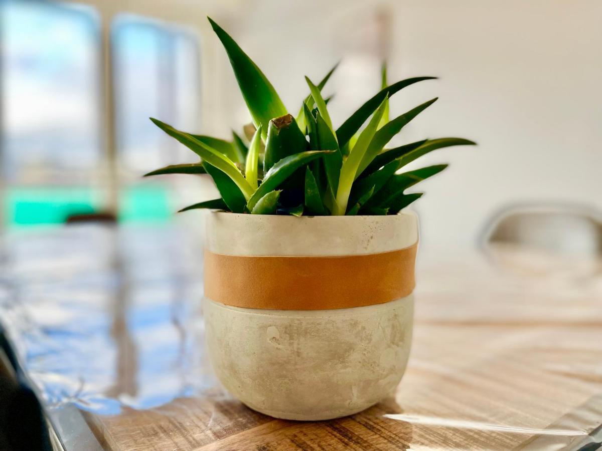 Colmar - La Cigogne - Balcon - Vue Degagee - Netflix - Wifi Fibre - Parking Gratuit - Quartier Populaire Leilighet Eksteriør bilde